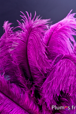Autruche - 30-40 cm - gris naturel-fuchsia